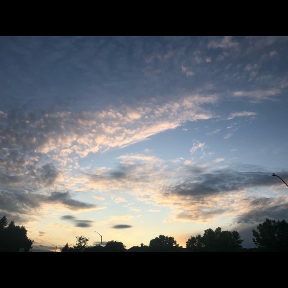 Meet your Posher, Maya - Picture 1 of 1